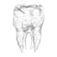 (c) Dentallabor-gruettner.de